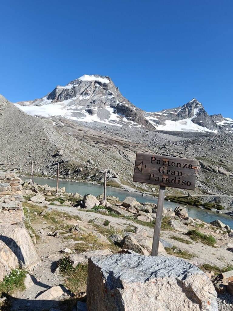 IMG 20250722