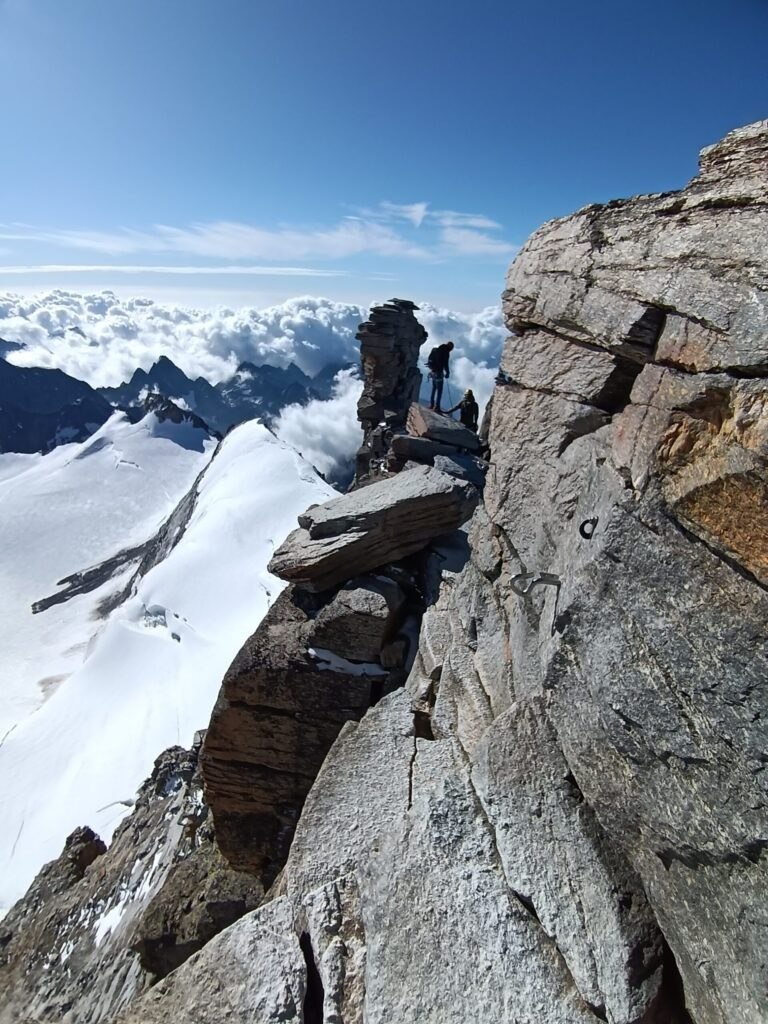 IMG 20250723