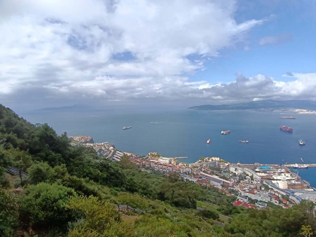 IMG 20260512