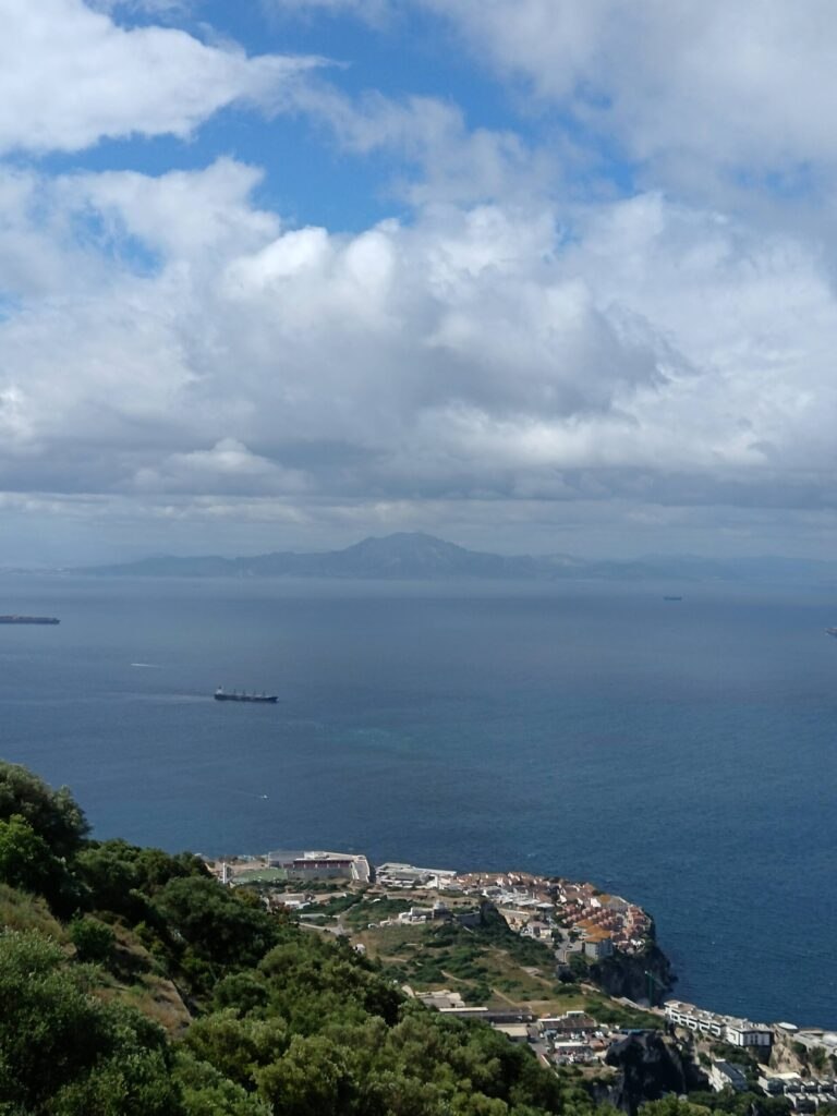 IMG 20260512