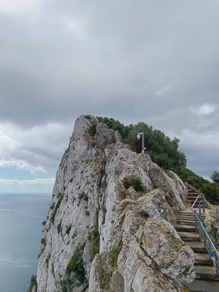 IMG 20260512
