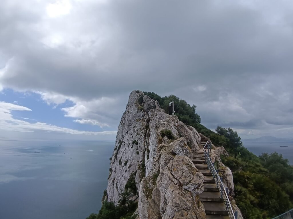 IMG 20260512