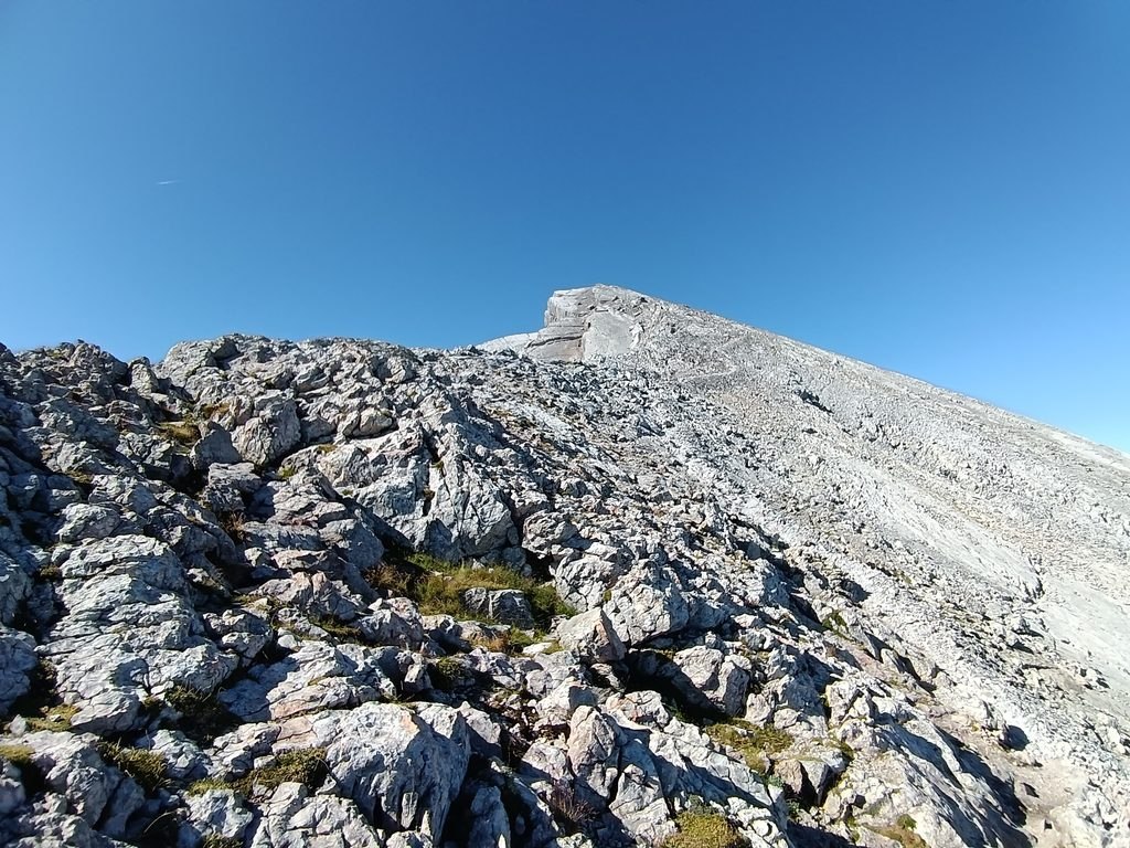 IMG 20260814