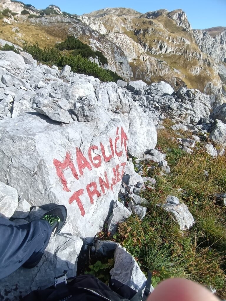 Maglic